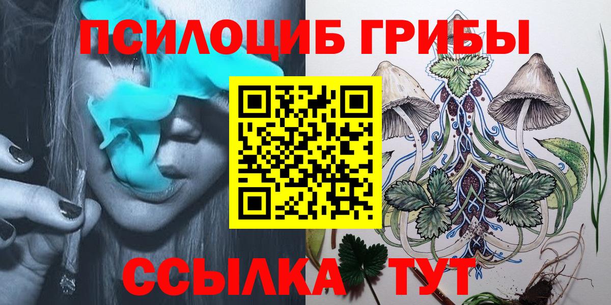 где купить наркотик  Вход с VPN  Старая Купавна  Галлюциногенные грибы прущие грибы 