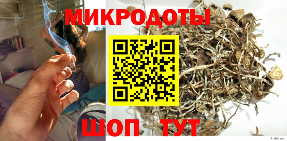 Псилоцибиновые грибы Cubensis Старая Купавна